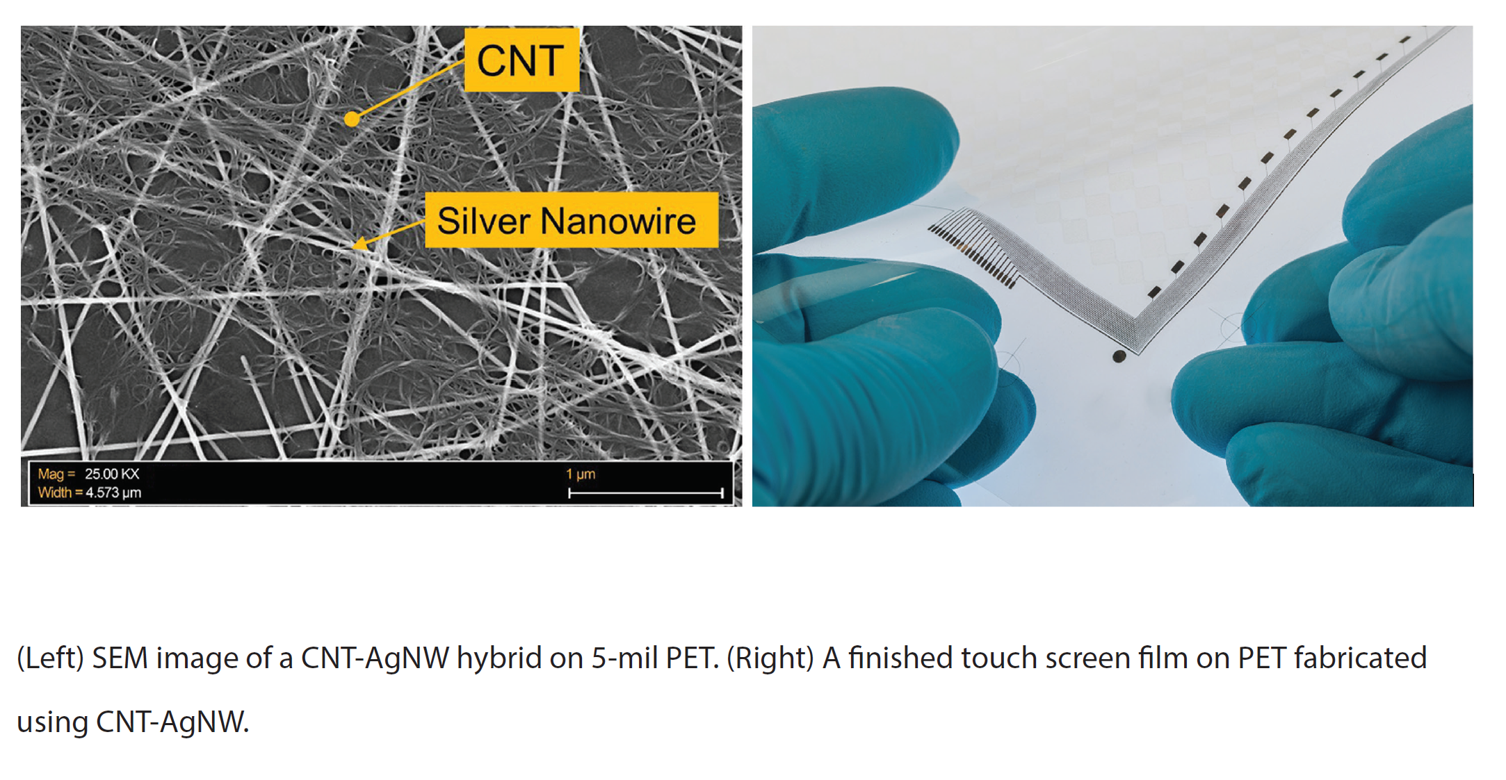 SEM image of a CNT-AgNW hybrid on 5-mil PET. (Right) A finished touch screen film on PET fabricated